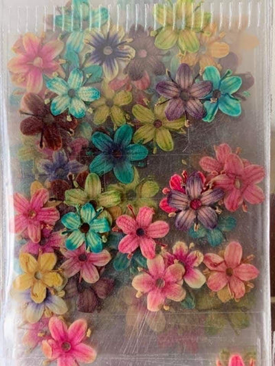 Flores secas