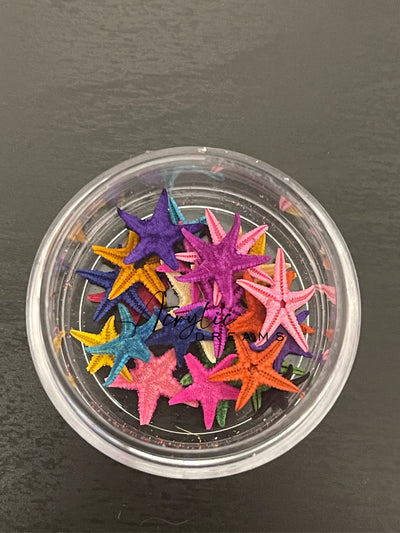 Mini Estrellas de mar variedad de colores